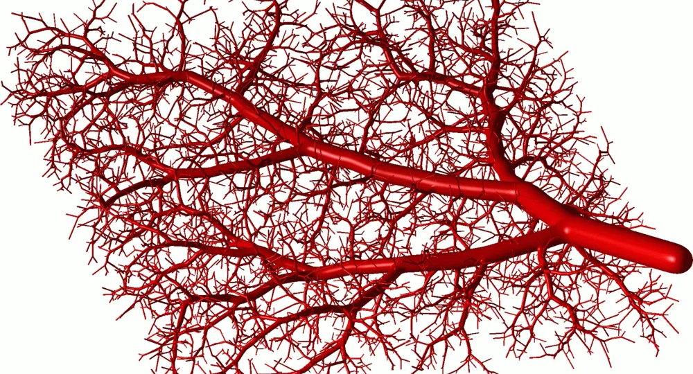 Неприятная правда о спазмах сосудов: как это было