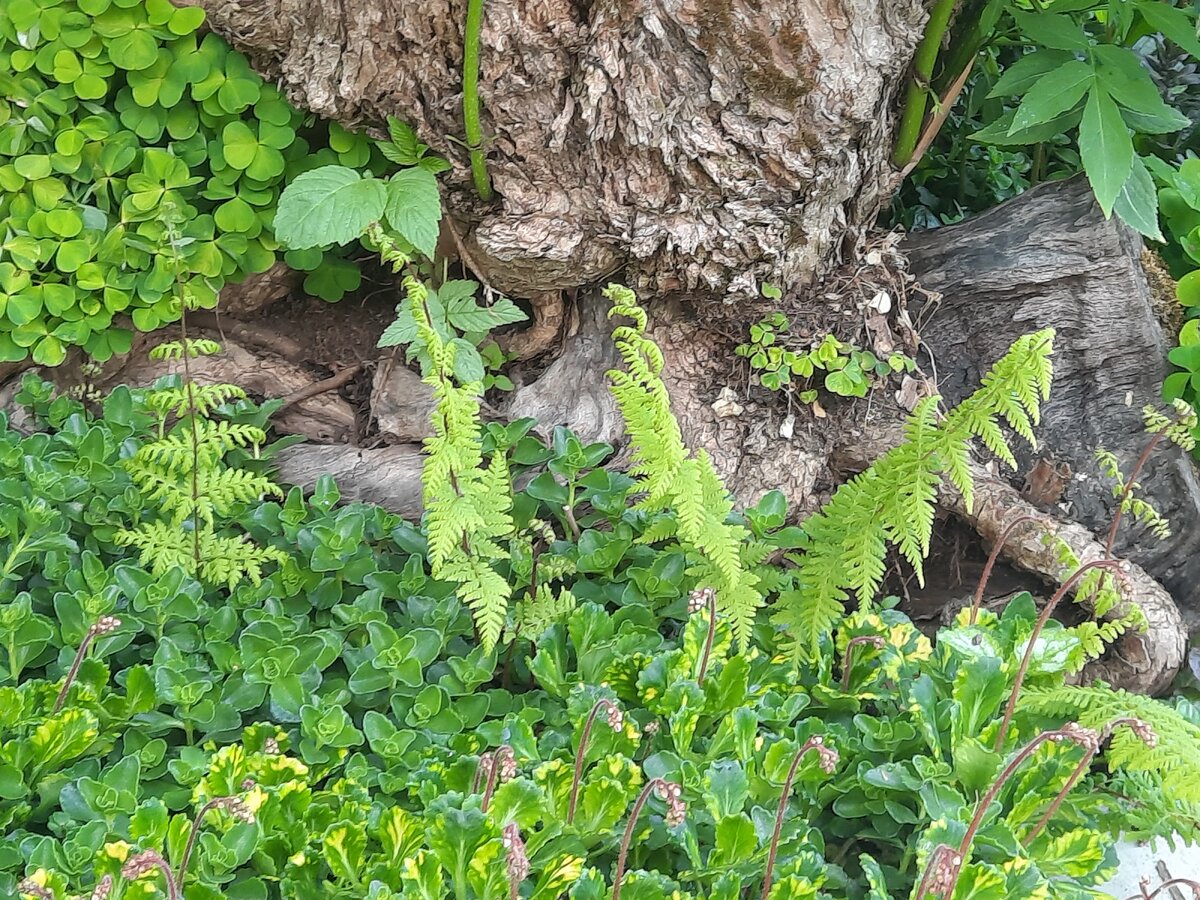 Дошкольники в детском саду. Детский сад ясли. Дети в саду. Одежда в детский садик. Прогулка по саду.