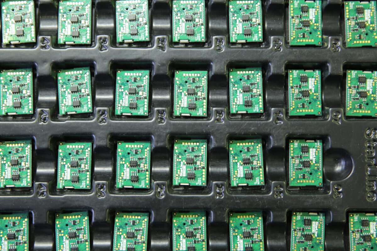    Фото: Baltphoto/ Андрей Пронин