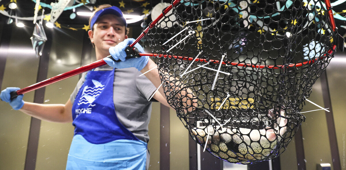 Фото: Сергей Савостьянов/ТАСС