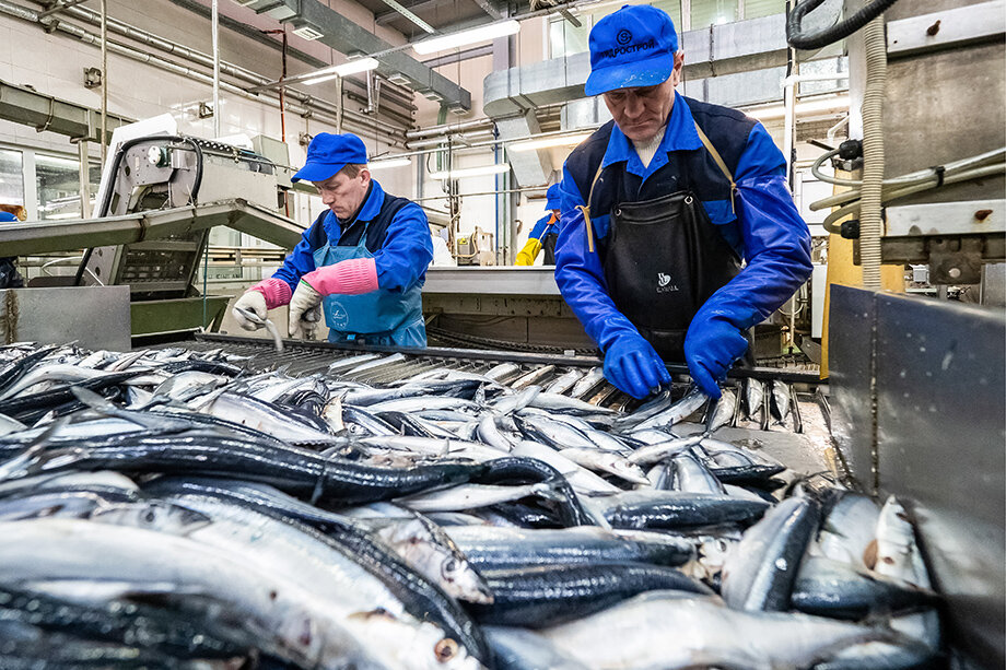 Россия входит в топ-10 стран по объёму вылова. Фото: Сергей Красноухов/ТАСС