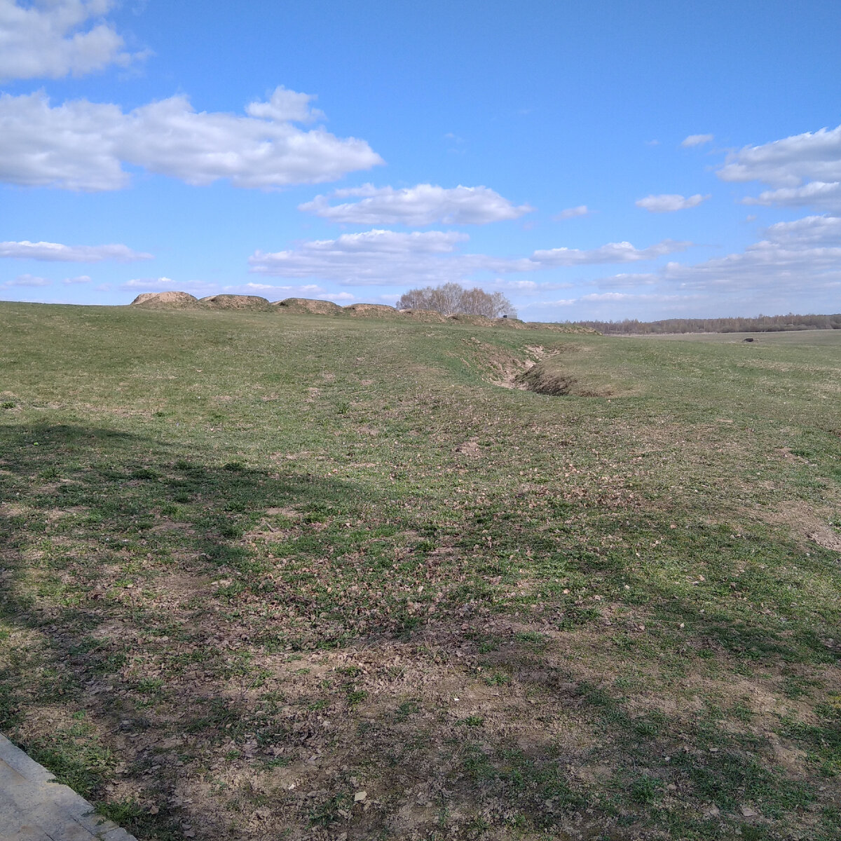 Редуты 1812 года и окопы 1941 года, здесь две великие войны оставили свой след. Фото автора, апрель 2023 г.