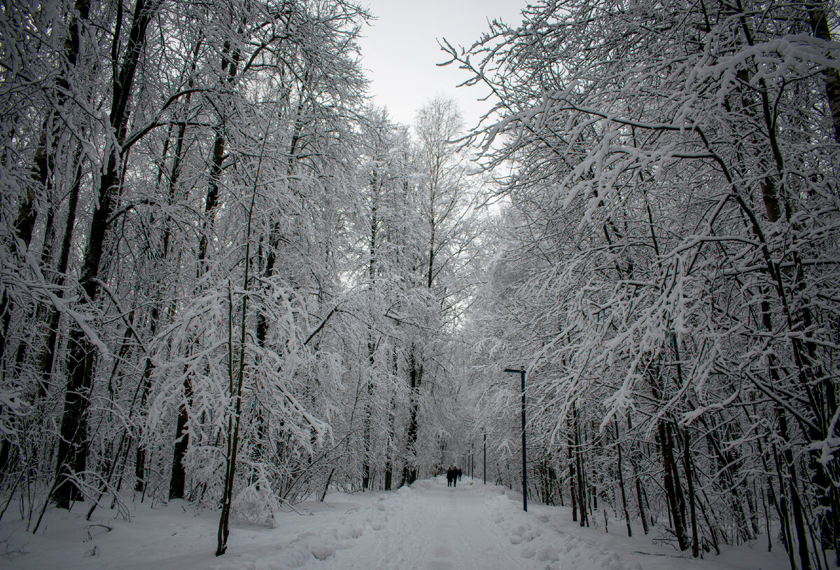 Фотография автора статьи.