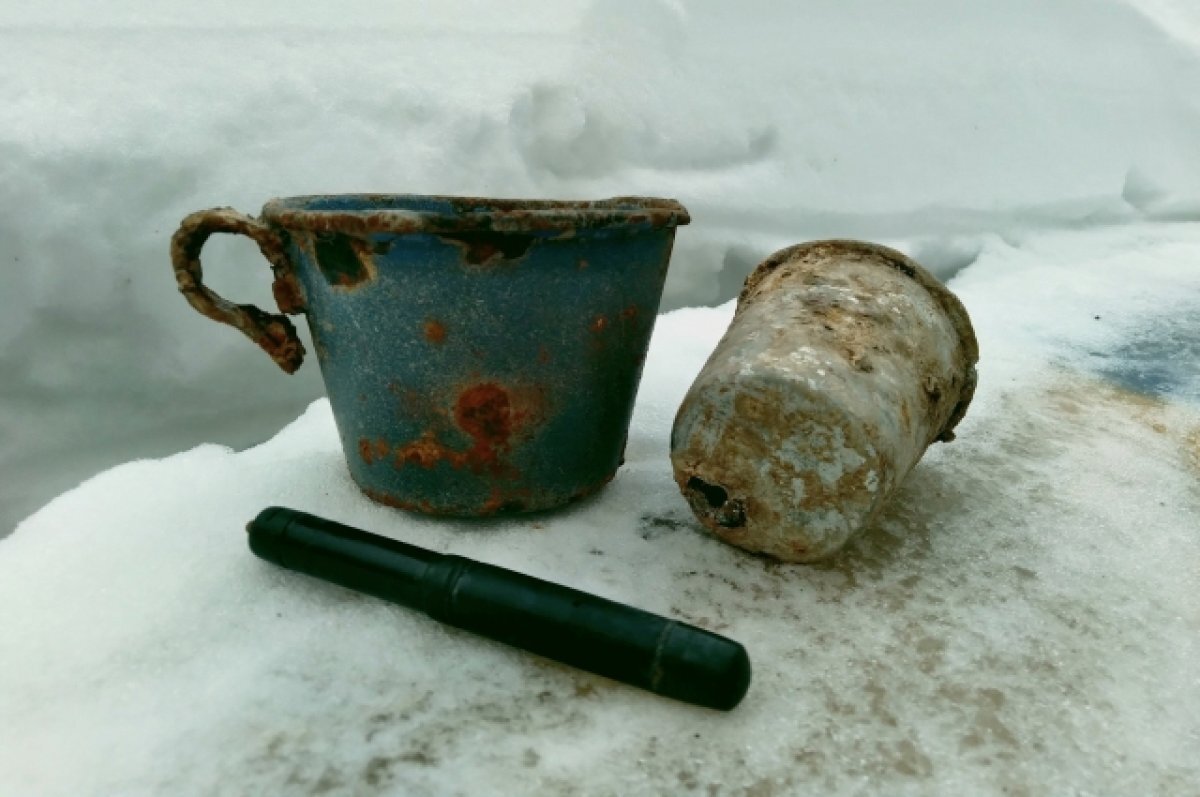    Останки трёх красноармейцев обнаружили в Тверской области