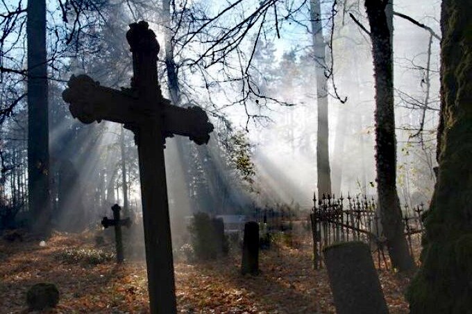 Фото из интернета 