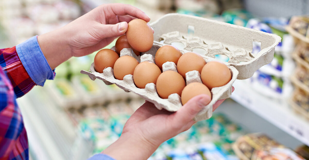 Цены на яйца в странах. Птицефабрика яйца. Яйца подорожали. Яйца в магазине. Яйца производители.