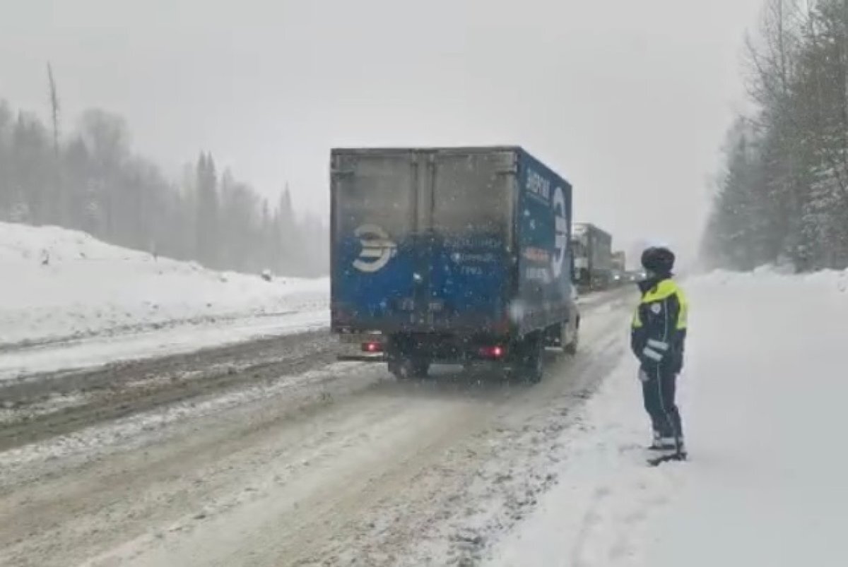    Метели, снежные заносы и ветер до 25 м/с ожидаются в Челябинской области