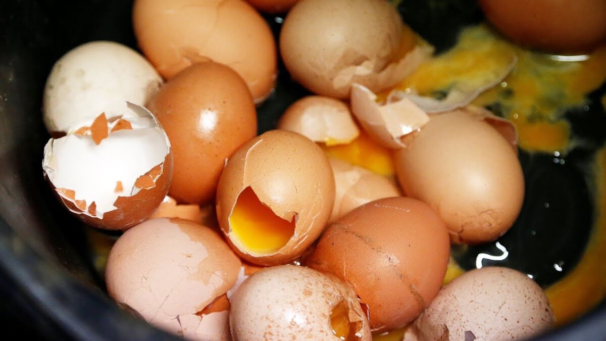 Микрофлора яиц. Европейские яйца. Яйцами можно отравиться