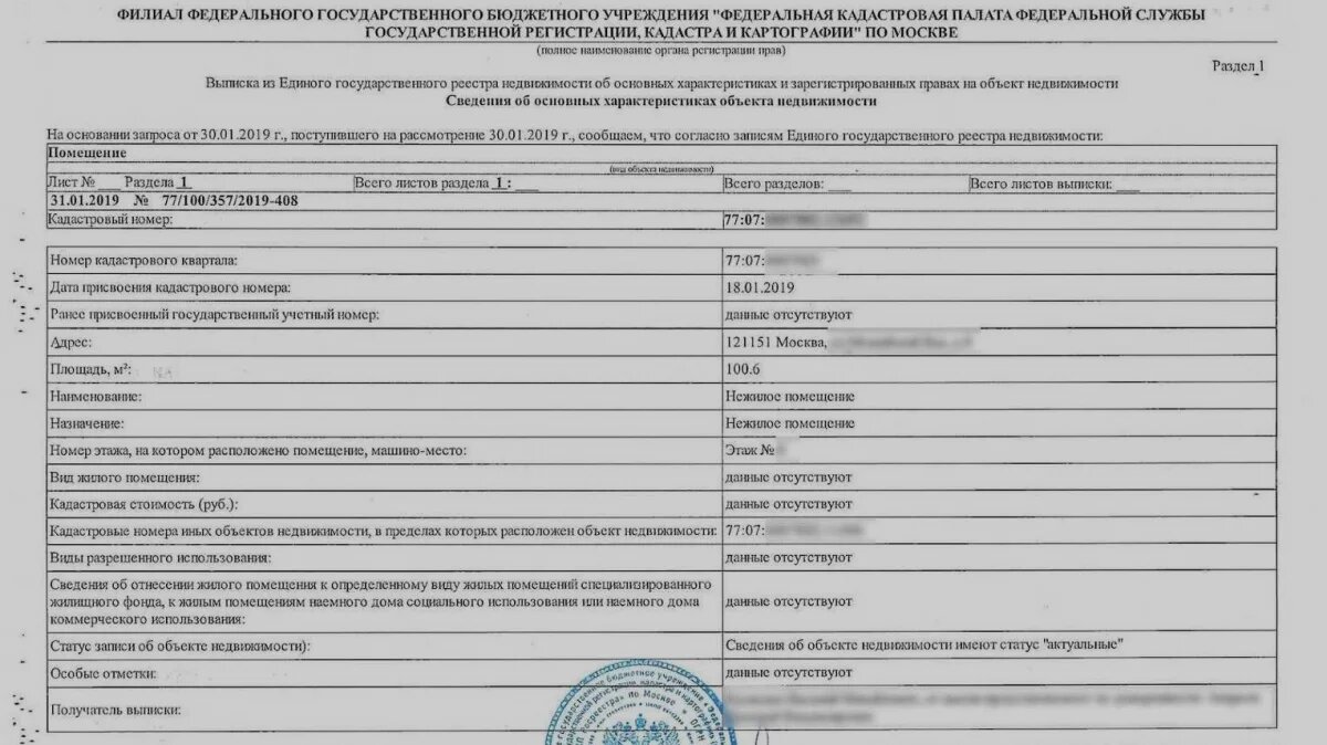 Образец выписки об основных характеристиках объекта недвижимости. Источник: qayli.com 