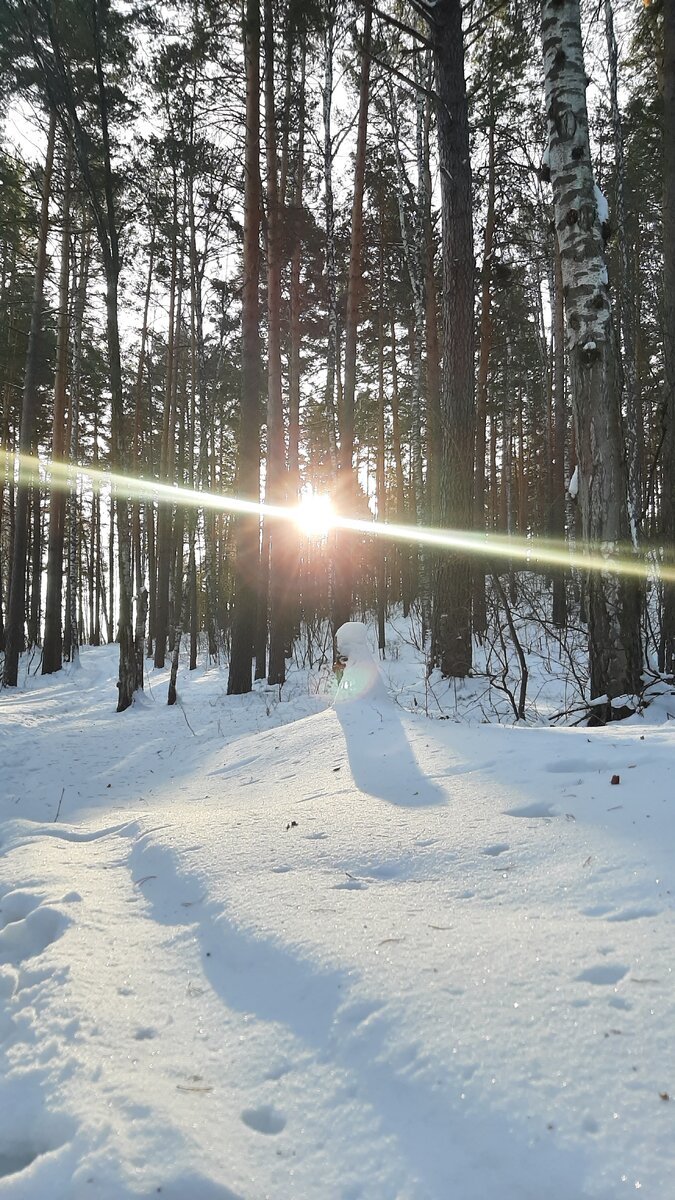 А я мыслями в лесу на базе отдыха😁