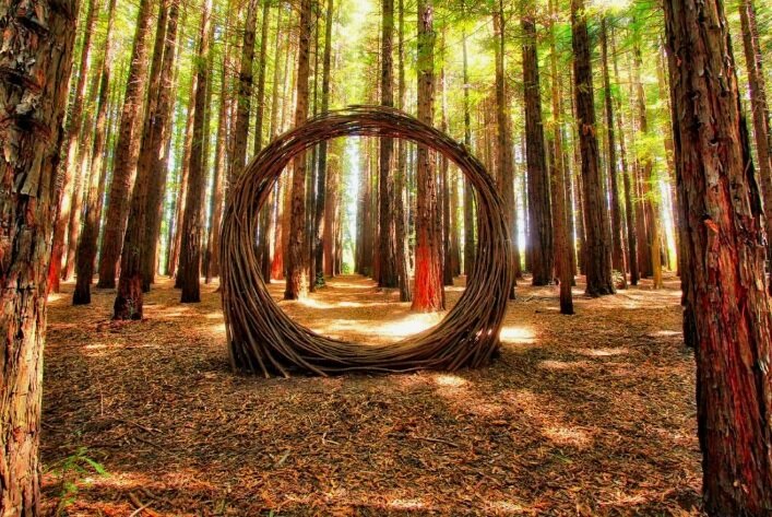 Картинка из открытых источников Яндекс