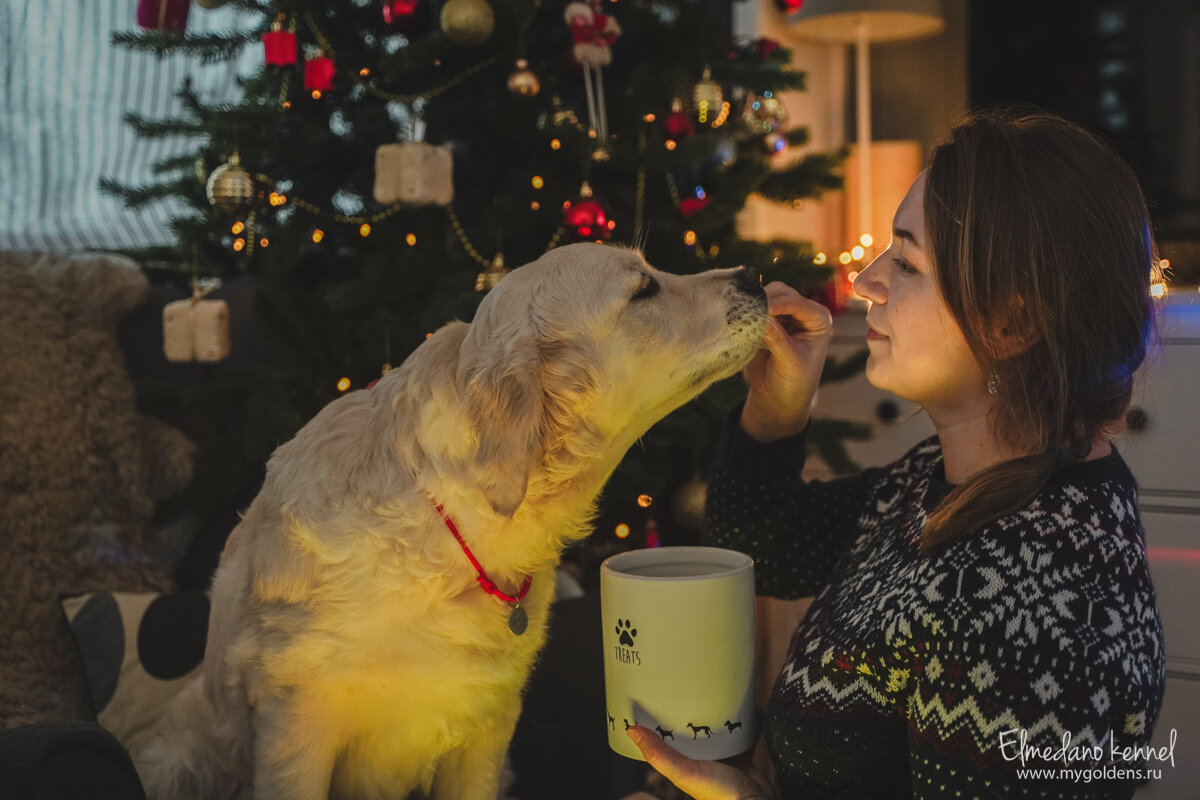 Жизнь с собакой - это удивительное приключение, наполненное радостью и преданностью. На фото я и наша младшенькая – Мия.