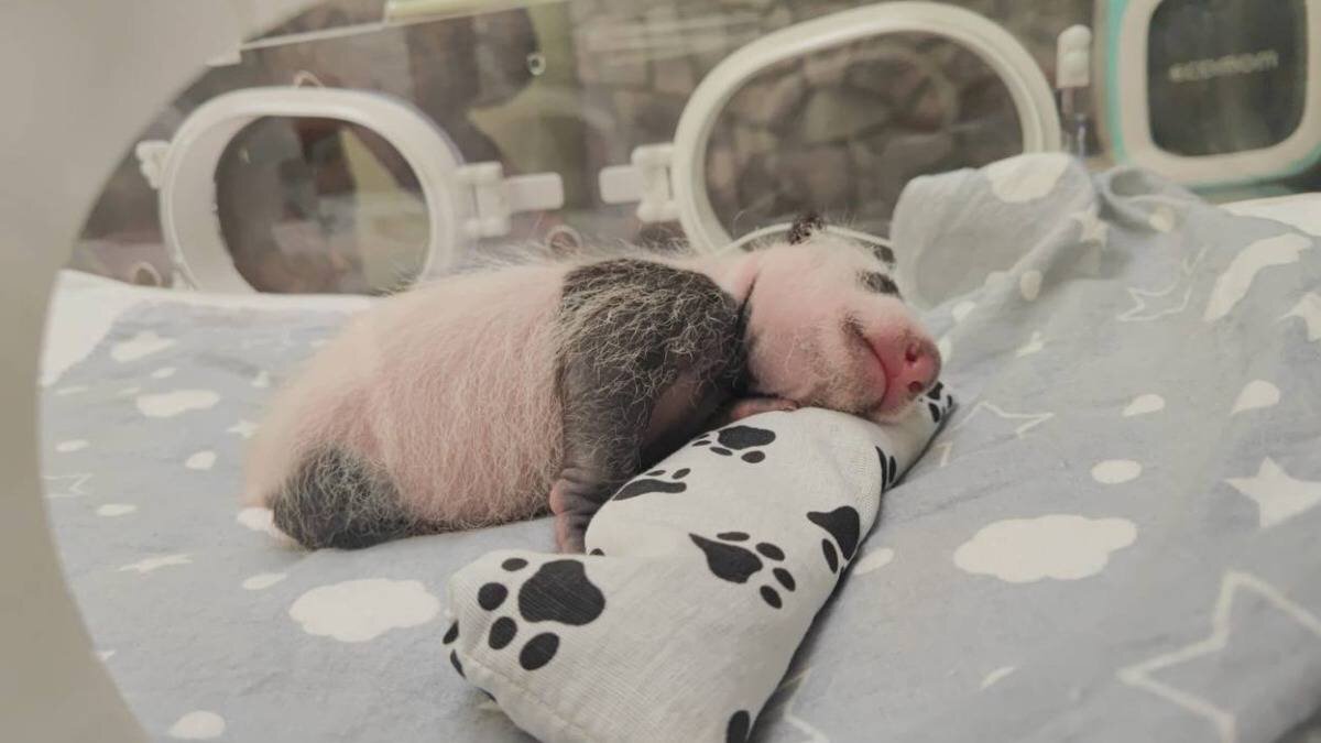    Фото: Telegram / Светлана Акулова