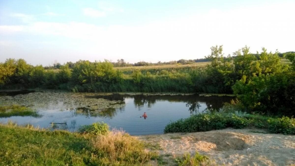    Спасут ли Саратовку: власти ответили на вопрос о будущем ставшей болотом реки в ЭнгельсеНовости Саратова и области – Сетевое издание «Репортер64»