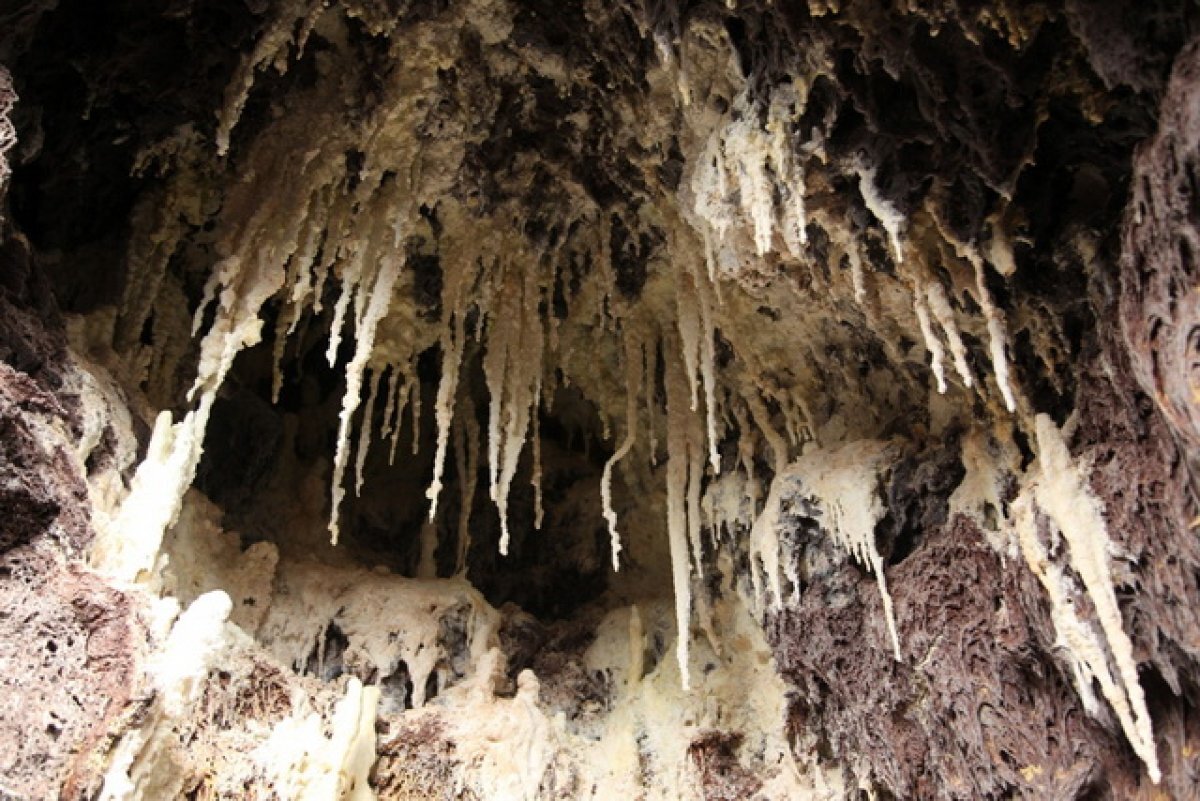    Турэксперт Ансталь назвала вулкан Толбачик необычным местом на Камчатке