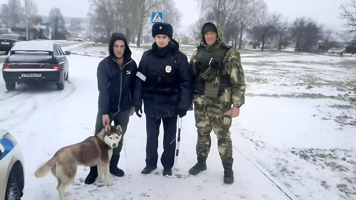 Новогоднее чудо: полицейские вернули белгородцам потерявшуюся Алюшу |  Бел.Ру | Дзен