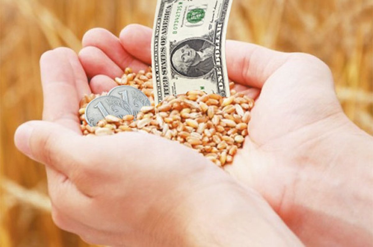    В Ростовской области экспорт продукции АПК вырос на 70%