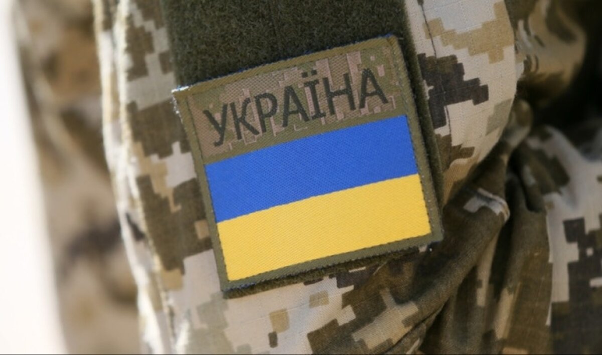    Евродепутат Уоллес призвал ЕС понести ответственность за мобилизацию украинцев