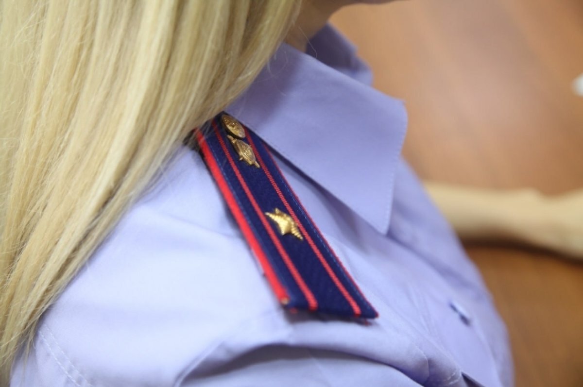    СК поможет найти людей, с которыми пропала связь в зоне СВО.