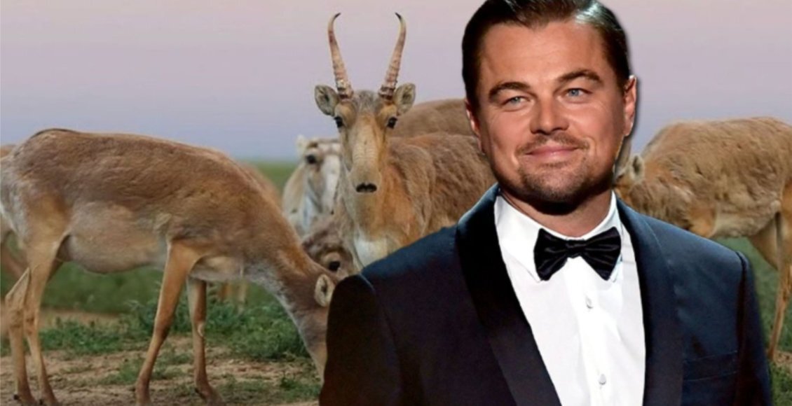    Коллаж: ulysmedia.kz