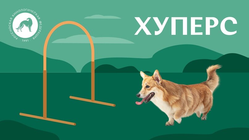 Все о хуперс для собак. Источник: Российская кинологическая федерация.