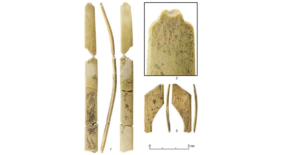   Михаил Шуньков и др. / Проблемы археологии, этнографии, антропологии Сибири и сопредельных территорий, 2023