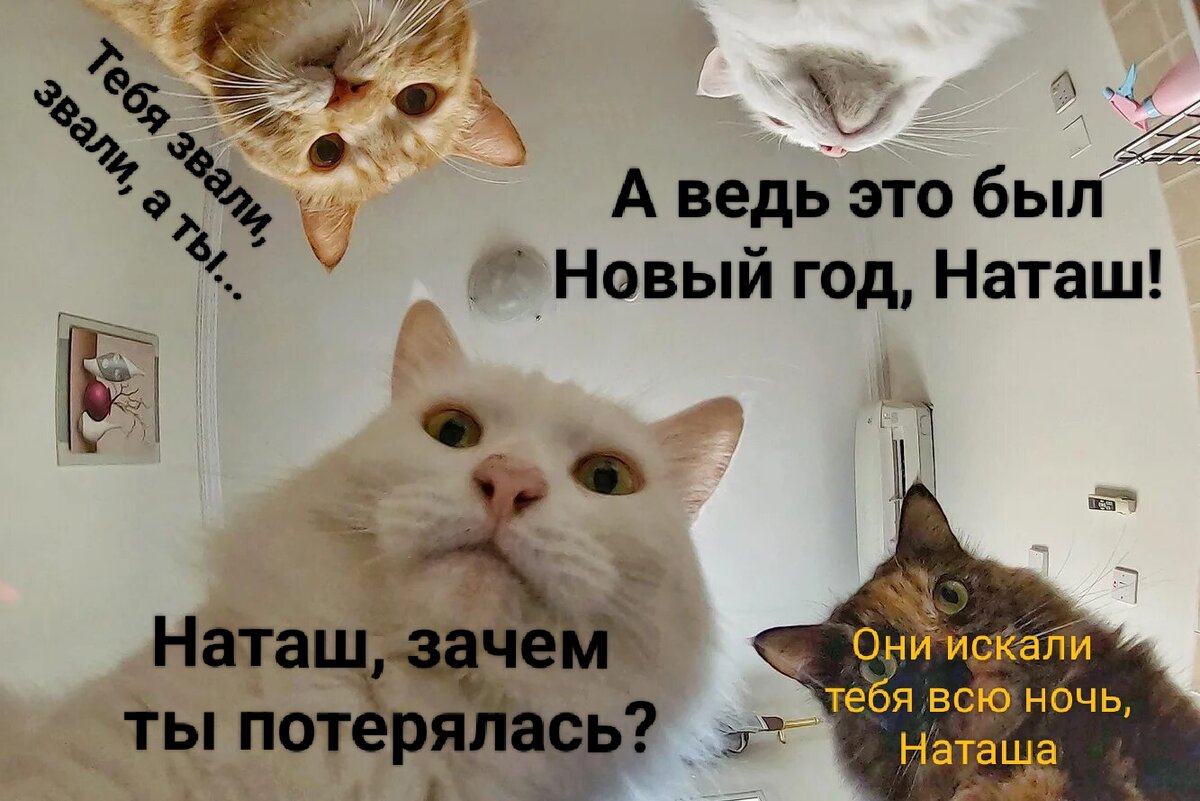 Коллаж автора