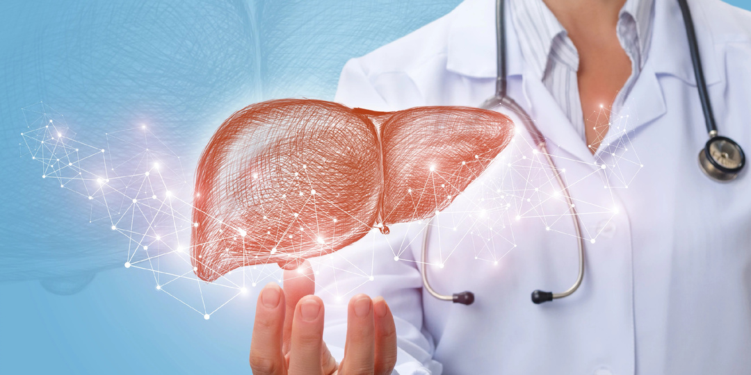 Делюсь списком из 5 продуктов, которые помогают мне восстановить печень, пострадавшей от алкоголя