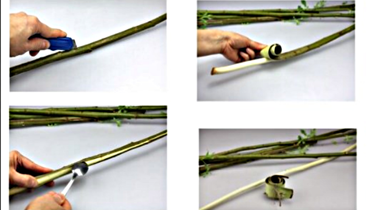 Ветка, срезка коры для плетения декоративной изгороди