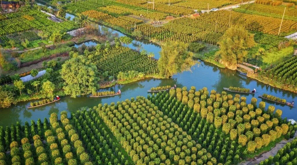 Деревня Сяньчунь, провинция Гуандун. Юг 