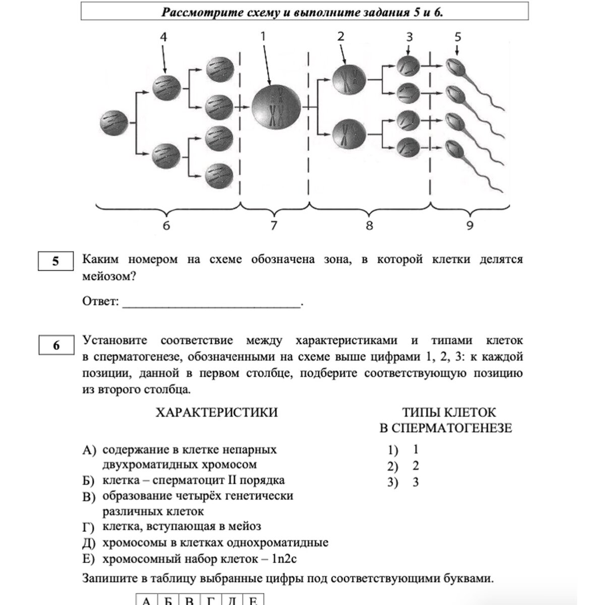 Основные ошибки в ЕГЭ по биологии. | Подготовка к ЕГЭ/ОГЭ, репетиторы |  Объясни | Дзен