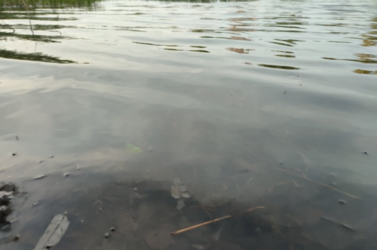    В Тверской области перекрыли доступ к Иваньковскому водохранилищу
