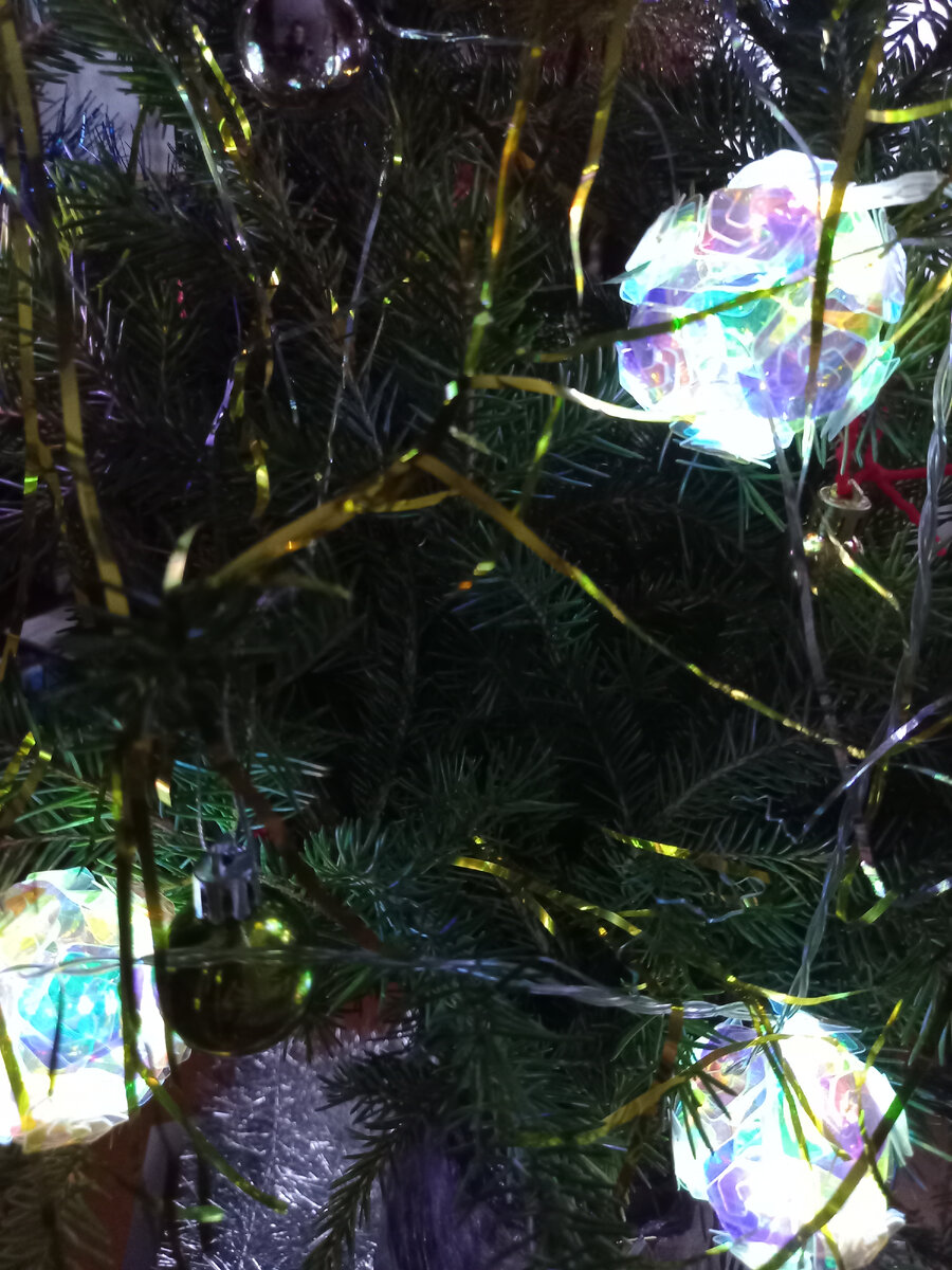 С Новым 2024 годом! | Галина Томилина | Дзен