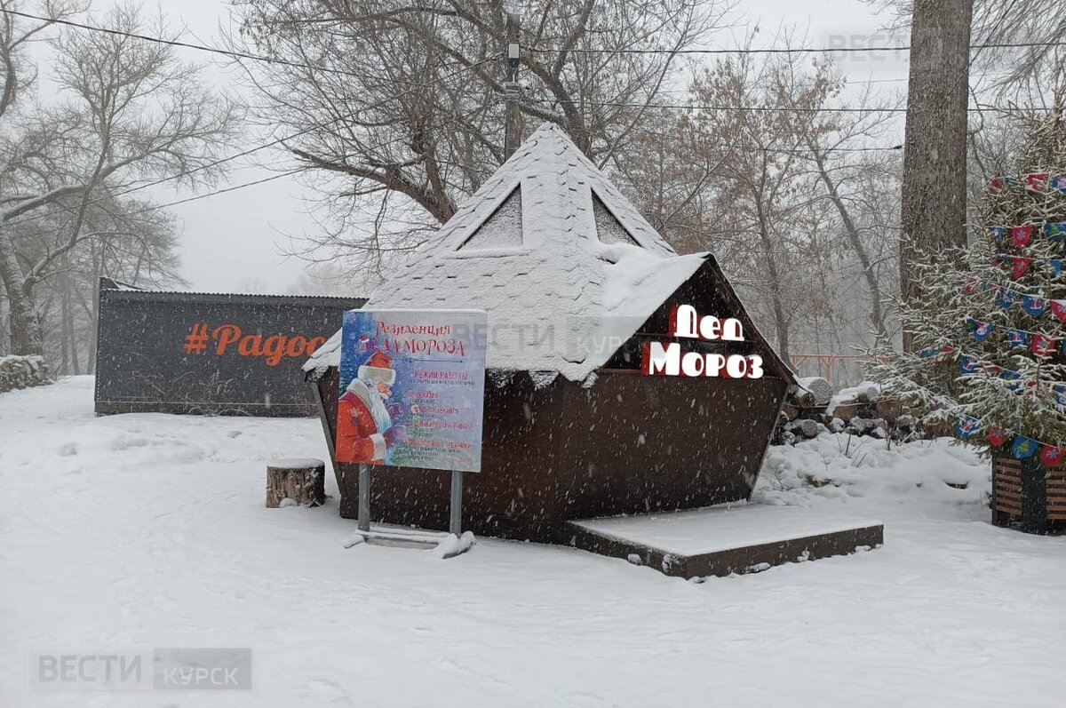 В Курске на Новой Боевке открылась приёмная Деда Мороза | Вести-Курск | Дзен