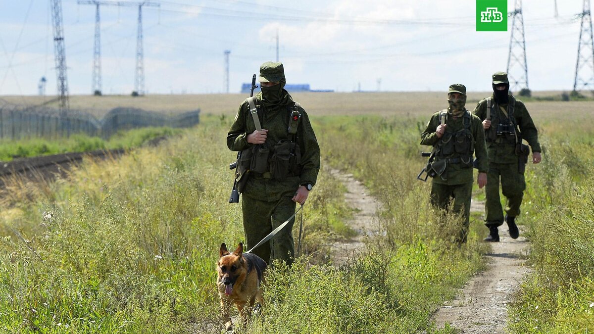    Фото: РИА Новости © 2023, Александр Кондратюк