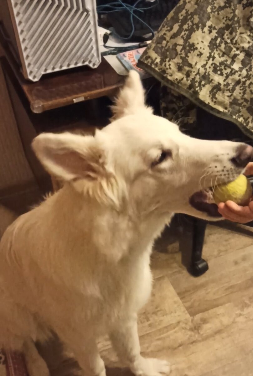 Фото автора