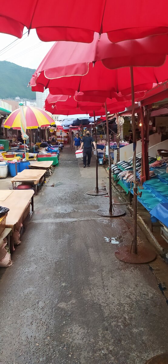 Рыбный рынок Пусана