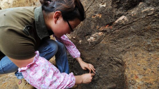    Обнаружен старейший комплекс гробниц китайской знати Татьяна Сидорова