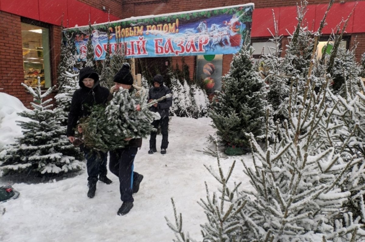    В столице Крыма до 31 декабря проверят незаконные ёлочные базары