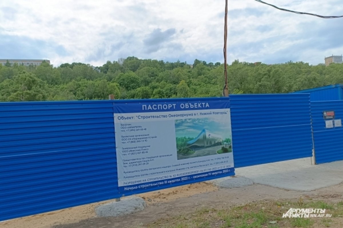    Океанариум в Нижнем Новгороде начнут строить в 2024 году