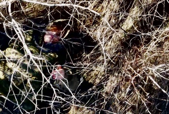    Раненая женщина-военнослужащая