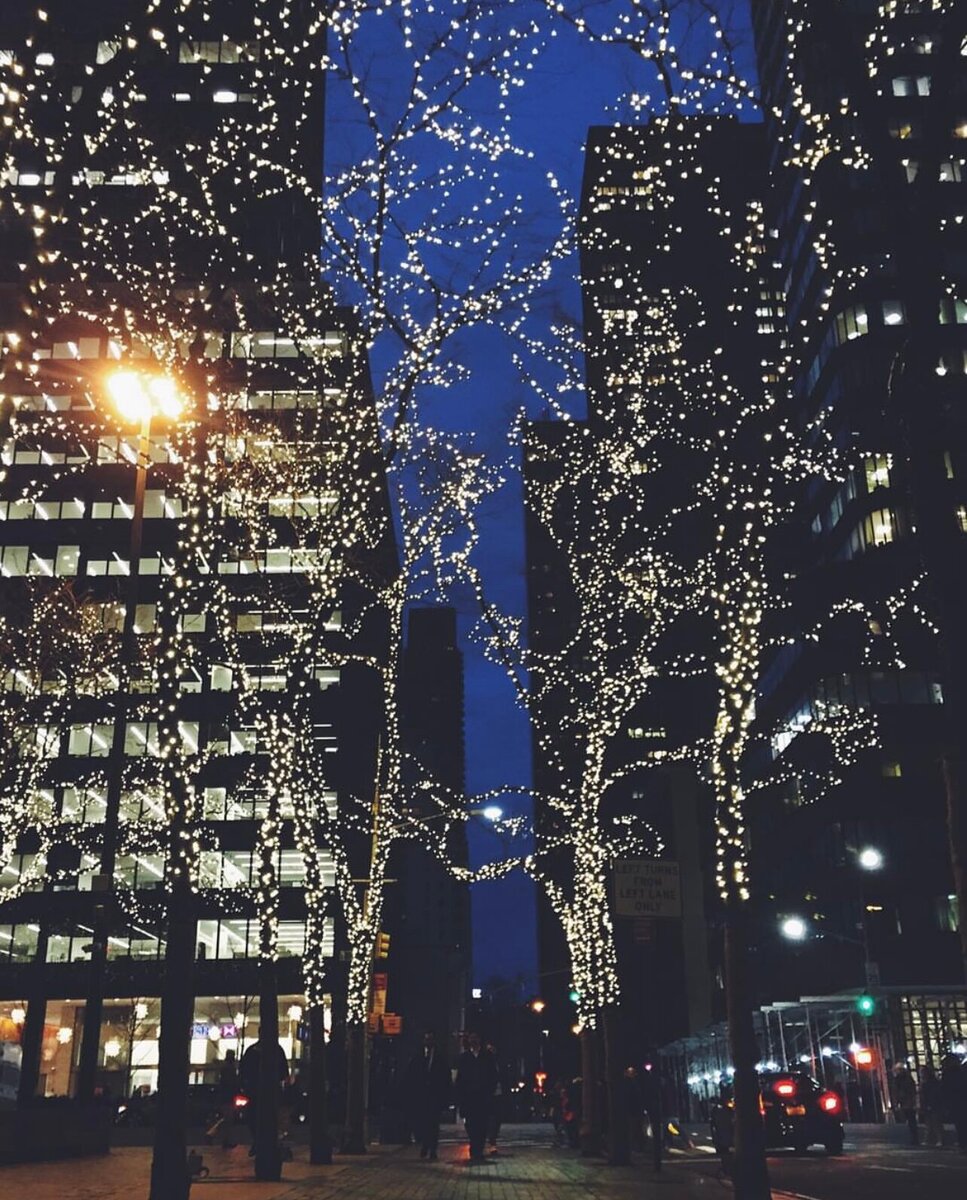 К Рождеству в Нью-Йорке начинают готовиться с конца ноября — город выглядит нарядным как днем, так и ночью — с подсветкой. Фото: Егор Пискунов