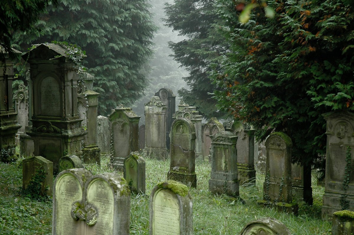 Graveyard chaos. Готичное кладбище фэнтези арт. Кладбище Кумогакуре. Мрачное кладбище. Пейзаж кладбища.