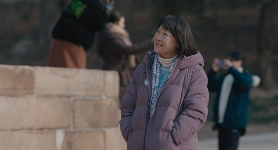 Хун Хуэйфан в образе тётушки Лим Бихуа, "Отпуск по-корейски"