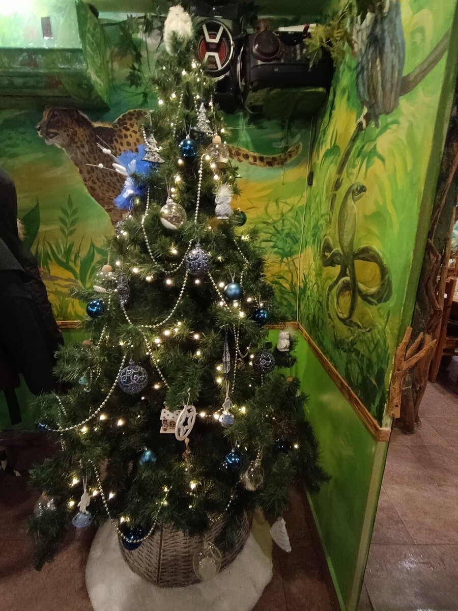 Прогулка по зимней Костроме | Деревенькадзен | Дзен