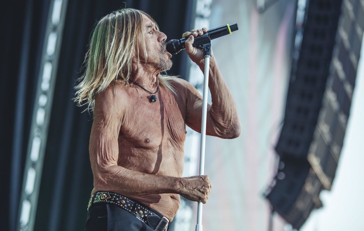 Яндекс картинки