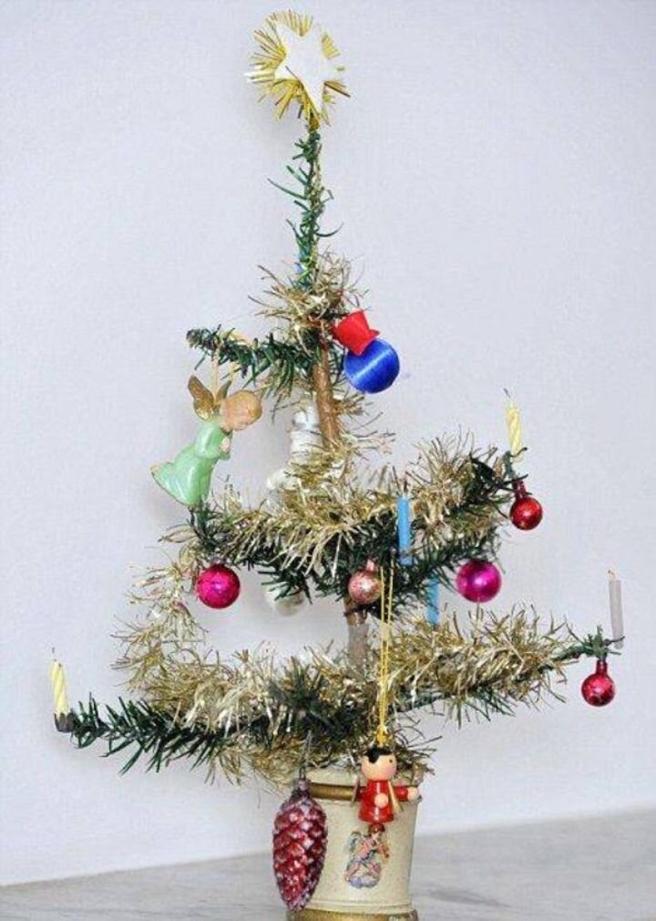 "Пушистая красавица". Источник https://www.amic.ru.