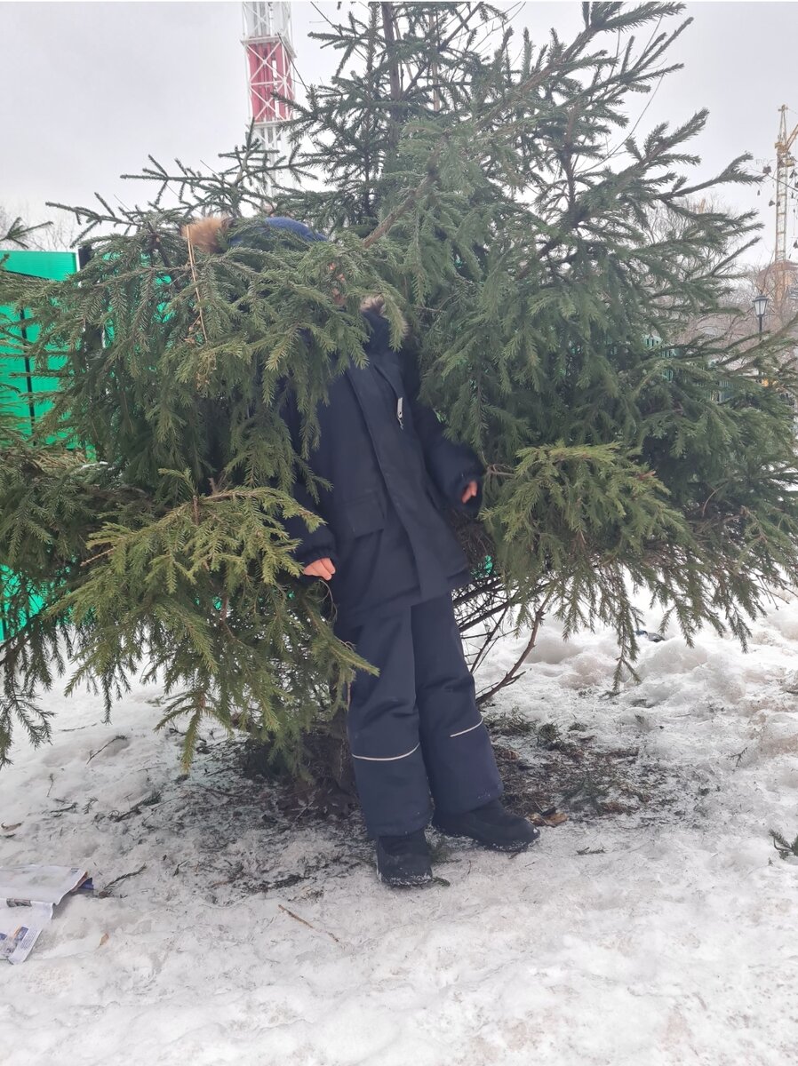 Мастер маскировки 🤣