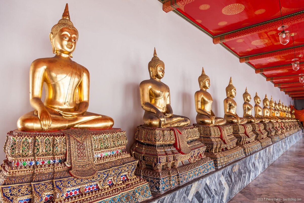 У Глории Дей более 300 потомков   Восточный Экспресс одна из самых известных и популярных 