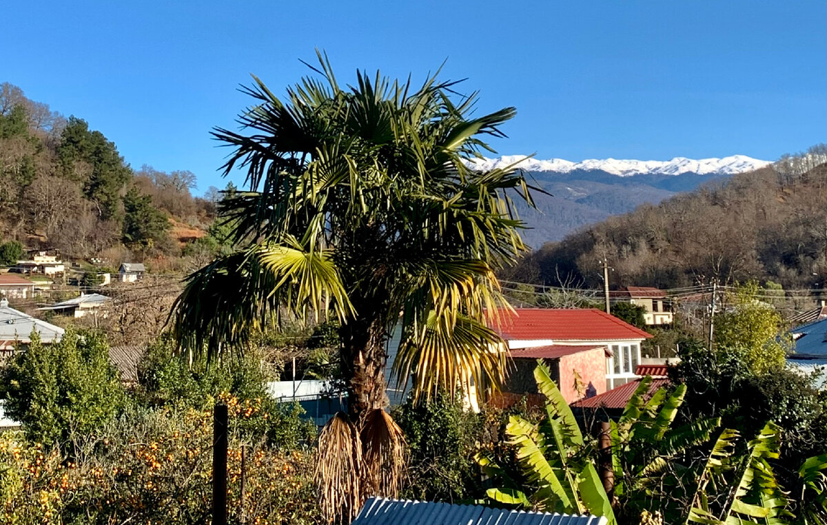 Вид со второго этажа музея на Главный Кавказский хребет